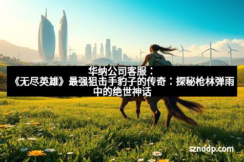 华纳公司客服：《无尽英雄》最强狙击手豹子的传奇：探秘枪林弹雨中的绝世神话